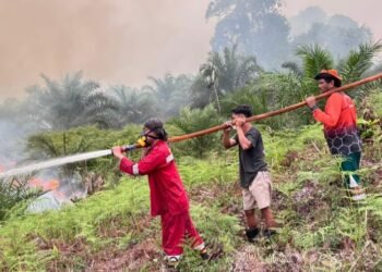 Dishut Kaltara Perkuat Kesiapsiagaan, 282 Hotspot Terdeteksi hingga September