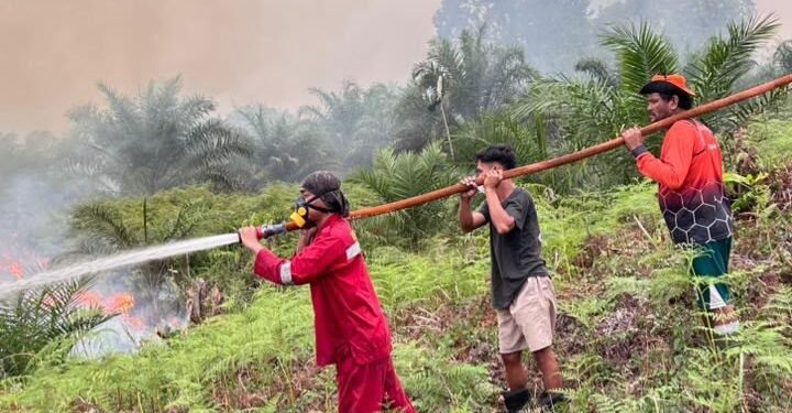 Dishut Kaltara Perkuat Kesiapsiagaan, 282 Hotspot Terdeteksi hingga September
