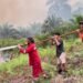 Dishut Kaltara Perkuat Kesiapsiagaan, 282 Hotspot Terdeteksi hingga September