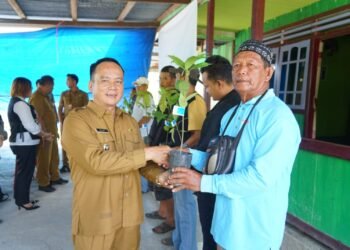Wabup Kilat Buka Sosialisasi Budidaya Tanaman Perkebunan Sawit dan Kakao