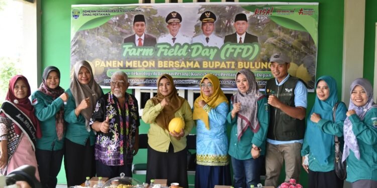Poktan Al-Barakah Bunyu Berhasil Panen Melon, Bupati Bulungan Dorong Dinas Pertanian Siapkan Program Bantuan